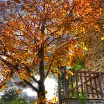 Archondiko Zafeiridi Makrinitsa