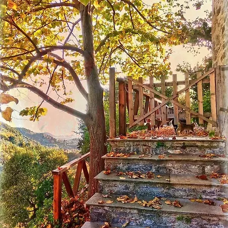 Archondiko Zafeiridi *