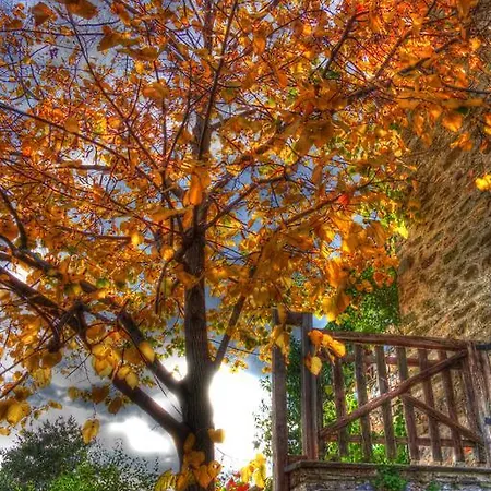 Archondiko Zafeiridi Makrinítsa